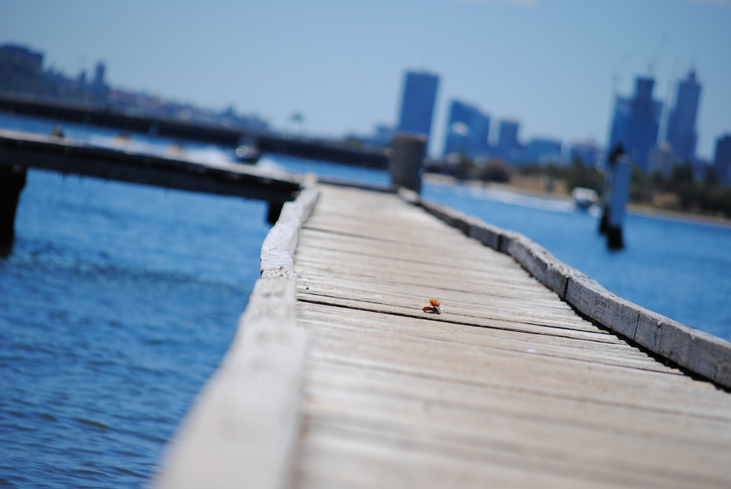 The Future - Attribution: https://www.flickr.com/photos/33925187@N00/