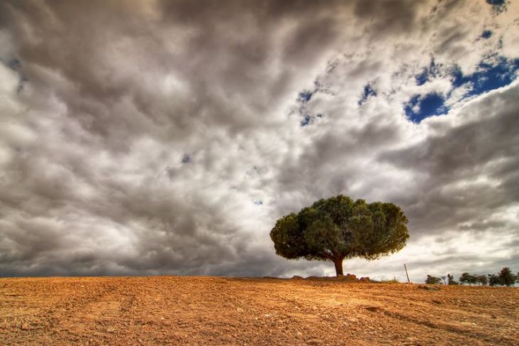 435533081_416321752d_o